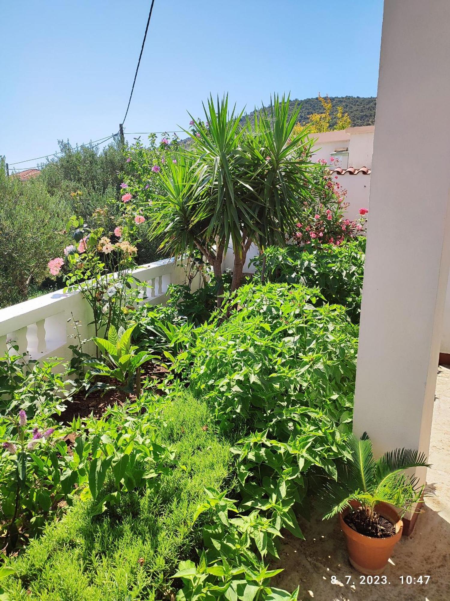 Apartment Slaven Vinišće Exterior foto